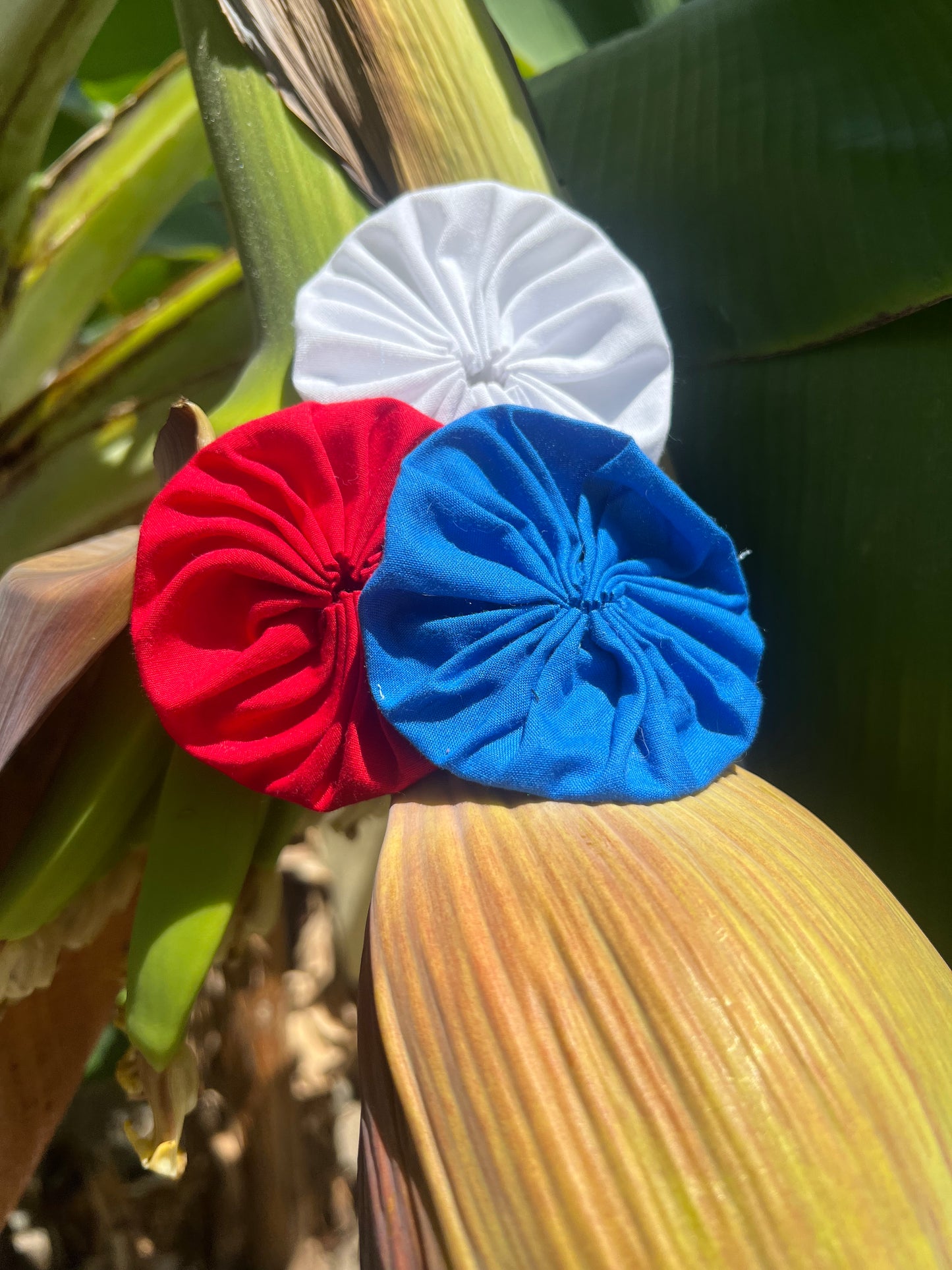 Adpota rositas para la bandera puertorriqueña