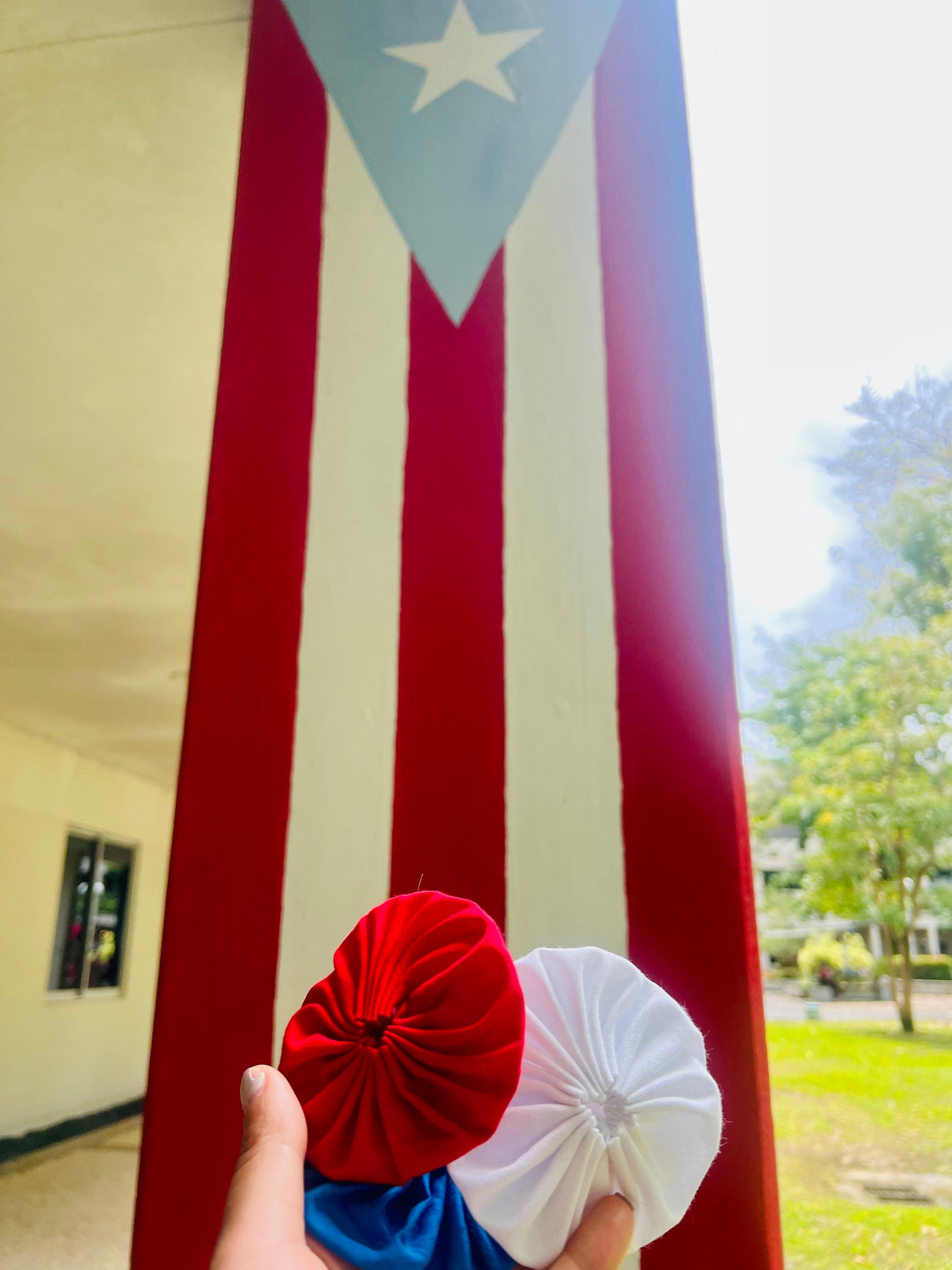 Adpota rositas para la bandera puertorriqueña